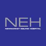 Newmarket Equine Hospital