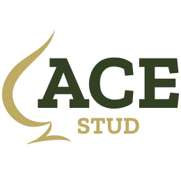 Ace_260x250 (1)