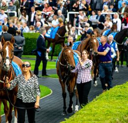 Rowley Mile September 2018 (59 of 85)