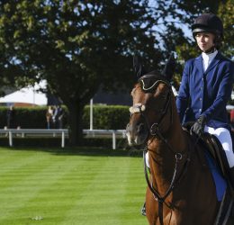 Godolphin Rehoming